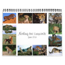 Search for leopard calendars Cat