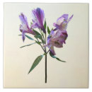 Search for peruvian tiles Floral