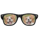 Search for photo sunglasses Dog