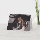 Search for basset cards Pet
