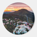 Search for rhododendron magnets Nature
