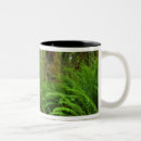 Search for moss mugs Nature