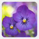 Search for viola stickers Floral