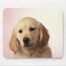 Search for golden retriever mousepads Animals