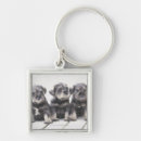 Search for miniature key rings Schnauzer