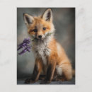 Search for flower fox postcards Animal
