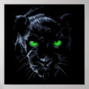 Search for animal black panther art Nature