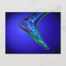 Search for human bones postcards Transparent