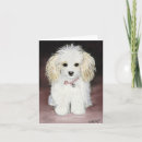 Search for toy poodle christmas cards Dog