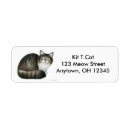 Search for maine coon return address labels Kitten
