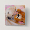 Search for sweet dog badges Cute