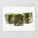 Search for cubes postcards White