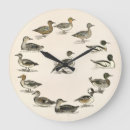 Search for merganser duck Birds