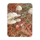 Search for gnome image Mushroom