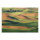 Search for washington state posters Field