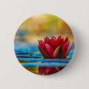 Search for pond badges Photography