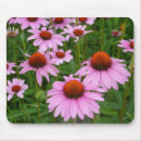 Search for attracts electronics Flower