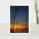 Search for san diego cards Ocean