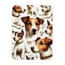 Search for jacks magnets Dogs