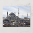 Search for turkey photography Outdoors