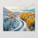 Search for larch tree postcards Nature