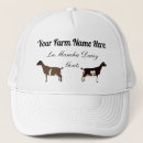 Search for herding hats Animal