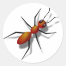 Search for ant stickers Bug