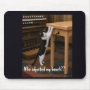 Search for scratch pad Cat