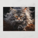 Search for maine coon postcards Feline