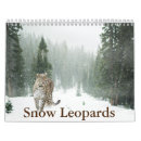 Search for leopard calendars Big cat