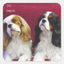 Search for tri colour stickers Spaniel