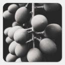 Search for sour stickers Fruit