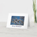 Search for eagle christmas cards Bird
