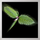Search for dragonfly flying posters Green