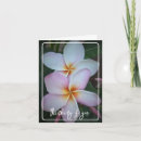 Search for plumeria cards Hawaii