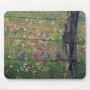 Search for bluebonnets mousepads Farm