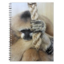 Search for ape notebooks Primates