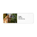 Search for sunshine return address labels Dog
