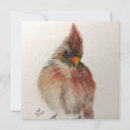 Search for shy cards Bird