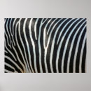 Search for horse hoof art Black