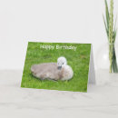 Search for nature lover birthday cards Cute
