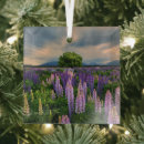 Search for meadow christmas tree decorations Springtime