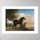 Search for pasture posters Horse