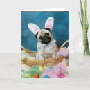Search for pug easter cards Rabbit