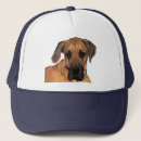 Search for great dane hats Animals