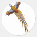 Search for pheasant stickers Wildlife