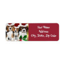 Search for beagle puppy return address labels Beagles