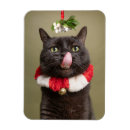 Search for christmas under magnets Mistletoe