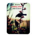 Search for fighting rectangular magnets Wildlife