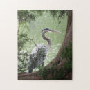 Search for wildlife photography puzzles Lake